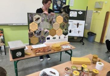 Warsztaty pszczelarskie w klasach 1