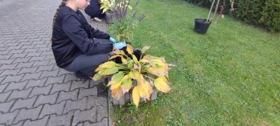 IMG-20251006-WA0018.jpg