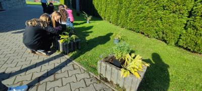 IMG-20251006-WA0020.jpg