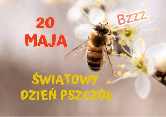 Światowy Dzień Pszczół - 20 maja