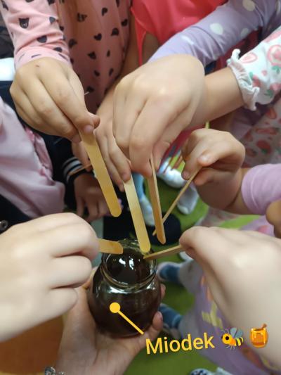 e8a550f8-0564-4c36-89af-e97fcafe4e69.jpg