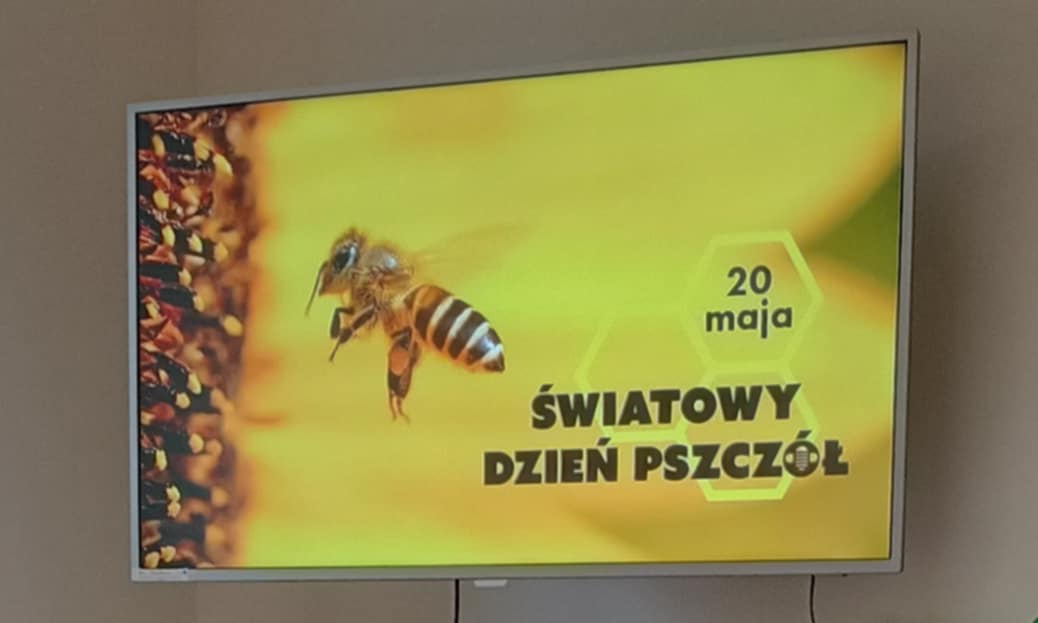 Światowy Dzień Pszczół 🐝🍯 - 20 maja 🌼🍯