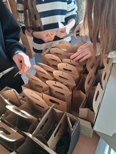 WhatsApp Image 2025-12-18 at 15.50.31 (4).jpeg